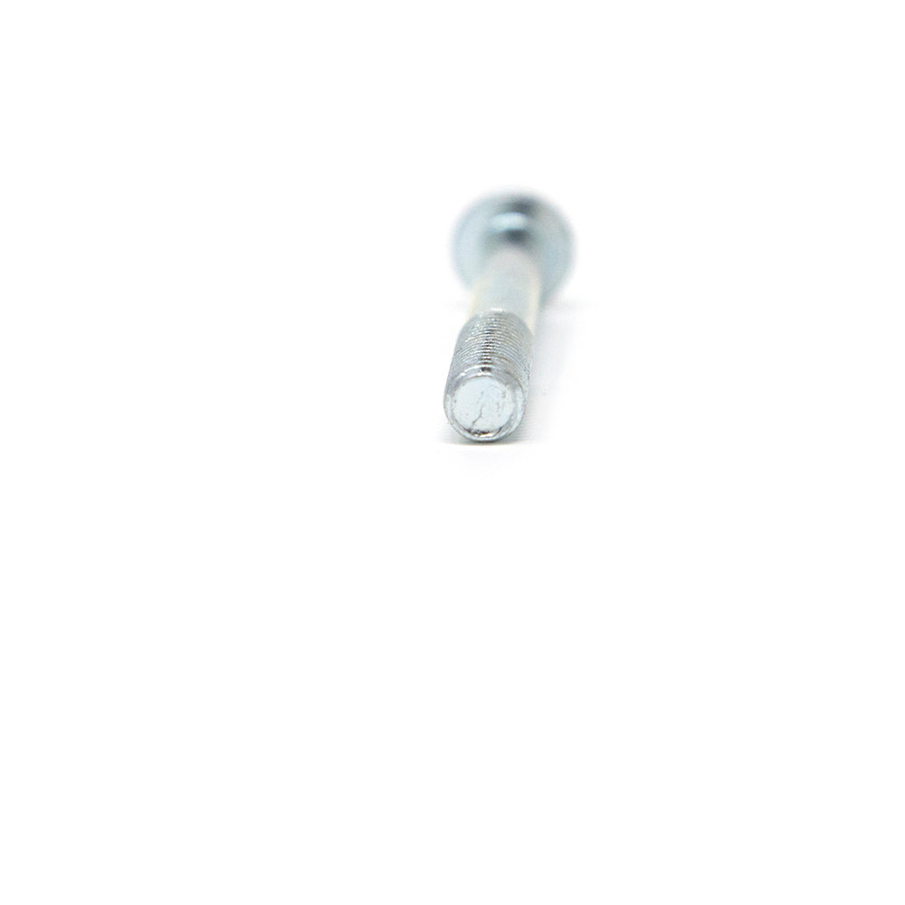 Bolt seen from behind.