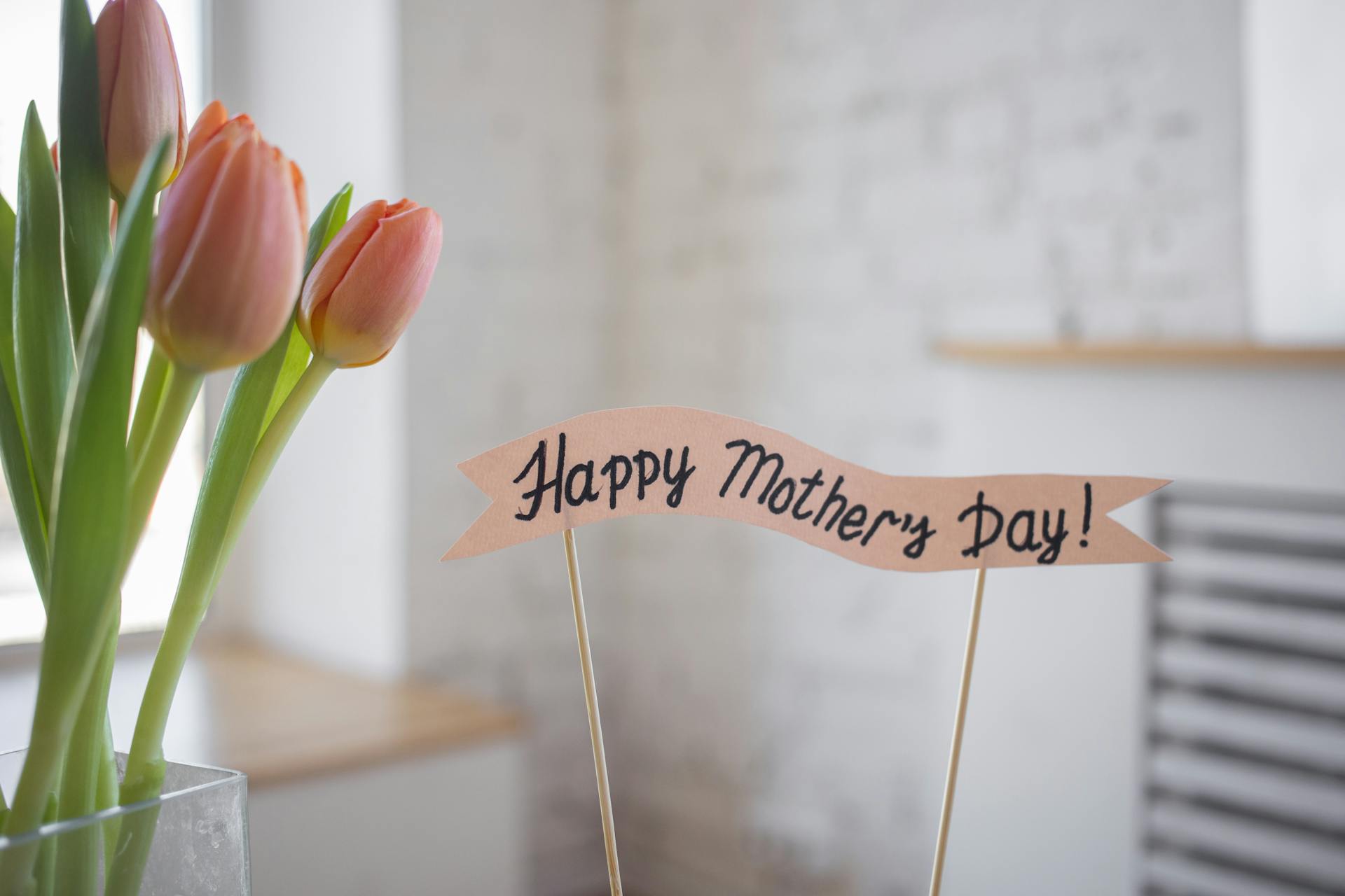 Keep the Kids Busy, Give Mom a Break: A Mother’s Day Special from Skywalker Trampolines