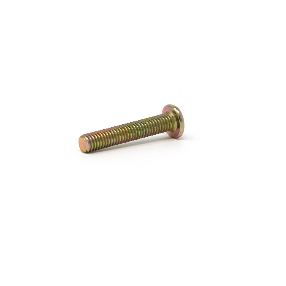 Large M5x38mm sized bolt.